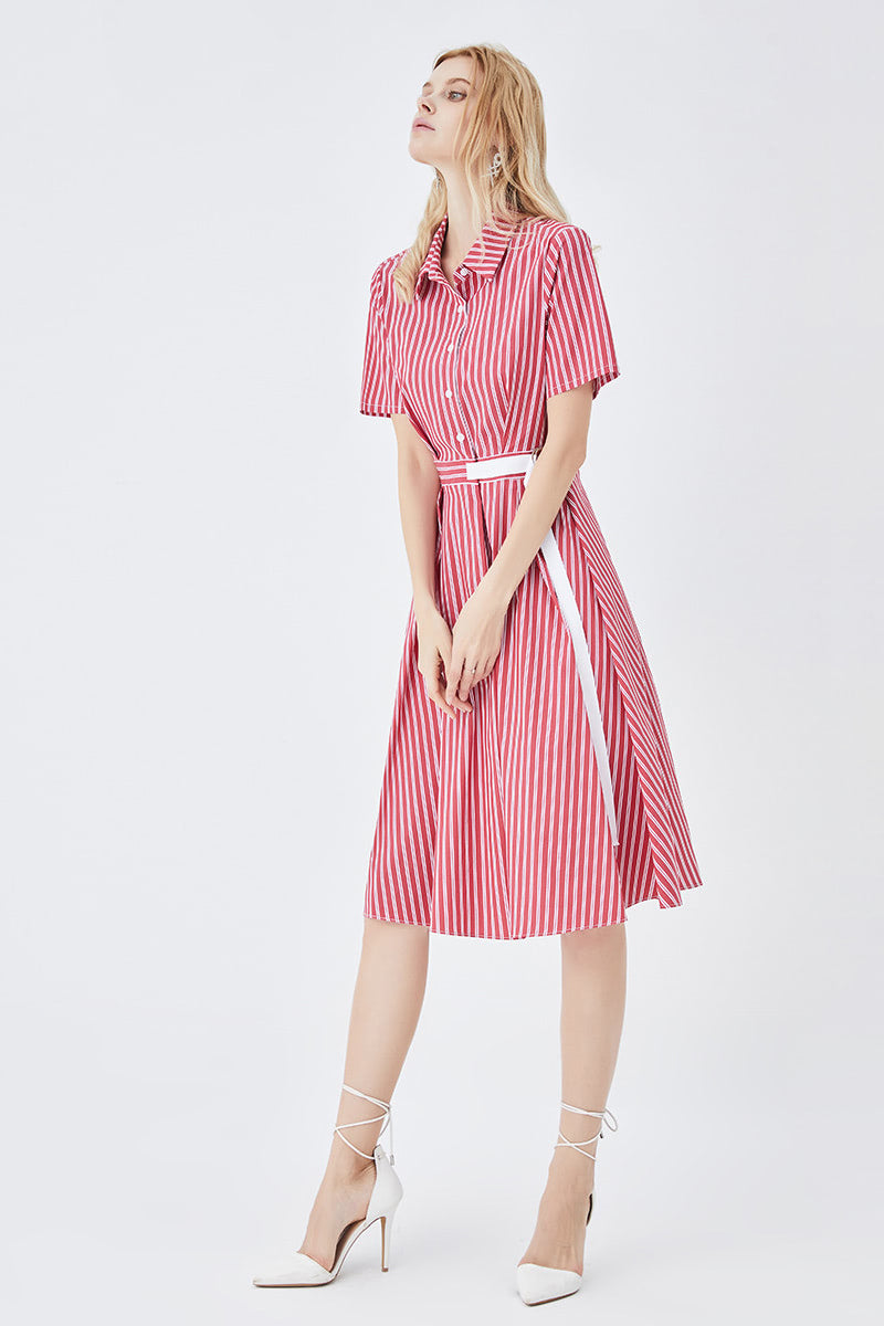 Classic Stripe Fitted Shirt Dress